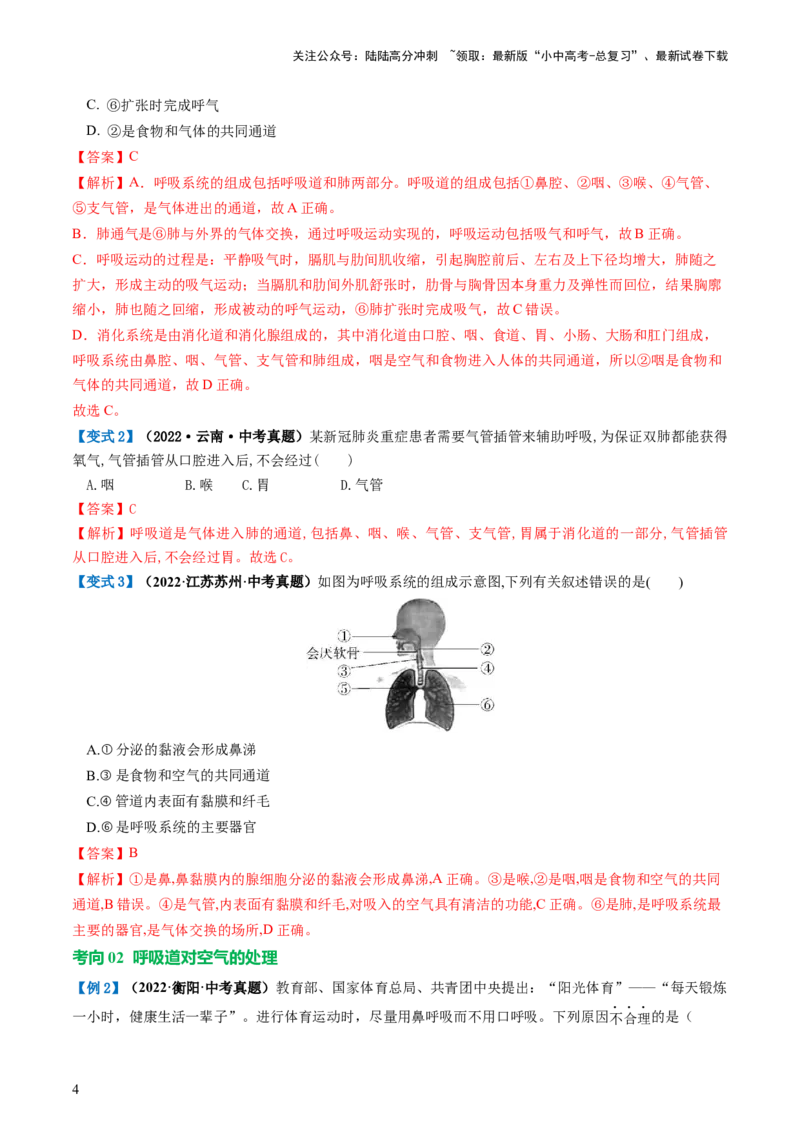 专题11人体的呼吸（讲义）（解析版）_02中考总复习（2026版更新中）_08-生物-中考总复习_2024年中考复习资料_一轮复习_❤2024年中考生物一轮复习讲练测（全国通用）_讲义