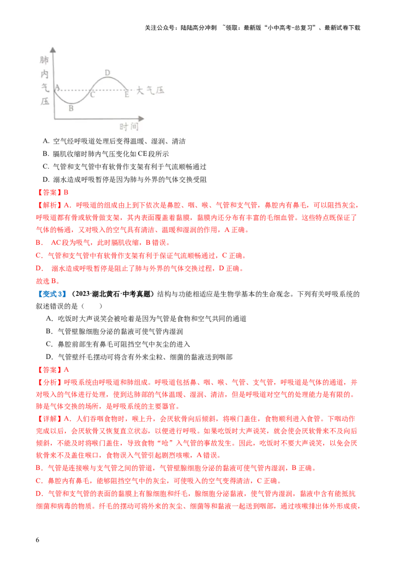 专题11人体的呼吸（讲义）（解析版）_02中考总复习（2026版更新中）_08-生物-中考总复习_2024年中考复习资料_一轮复习_❤2024年中考生物一轮复习讲练测（全国通用）_讲义