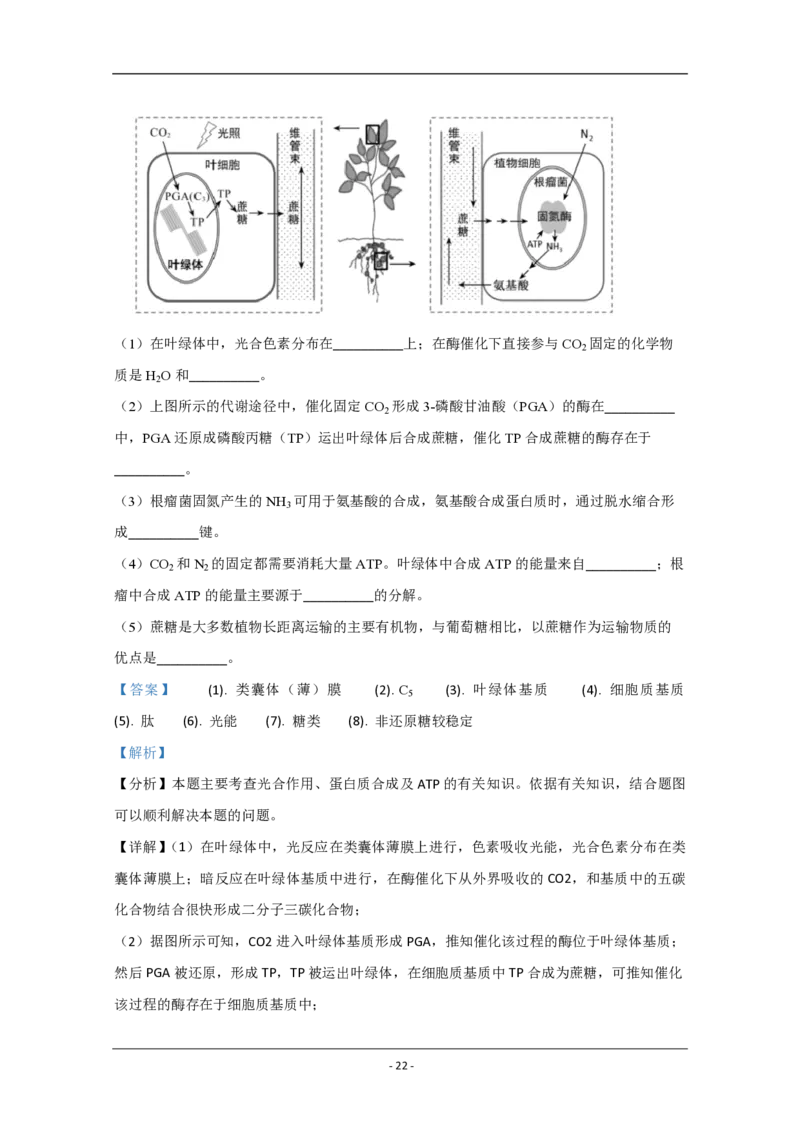 2020年江苏省高考生物试卷解析版_全国卷+地方卷_6.生物_1.生物高考真题试卷_2008-2020年_地方卷_江苏高考生物07-20_A4word版_PDF版（赠送）
