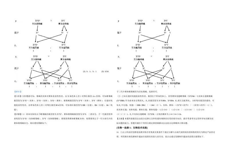 2021年全国统一高考生物试卷（新课标Ⅰ）（解析版）_全国卷+地方卷_6.生物_1.生物高考真题试卷_2008-2020年_全国卷_全国统一高考生物（新课标ⅰ）08-21_A3word版_PDF版（赠送）