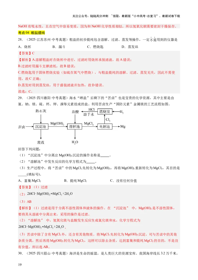 专题09盐和化肥（解析版）_02中考总复习（2026版更新中）_05-化学-中考总复习_2026年中考复习（更新中）_好题汇编三年（2023-2025）中考化学真题分类汇编（全国通用）