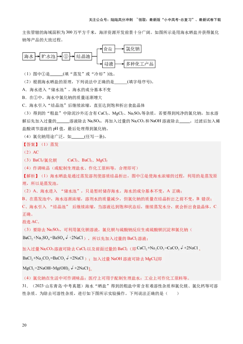 专题09盐和化肥（解析版）_02中考总复习（2026版更新中）_05-化学-中考总复习_2026年中考复习（更新中）_好题汇编三年（2023-2025）中考化学真题分类汇编（全国通用）