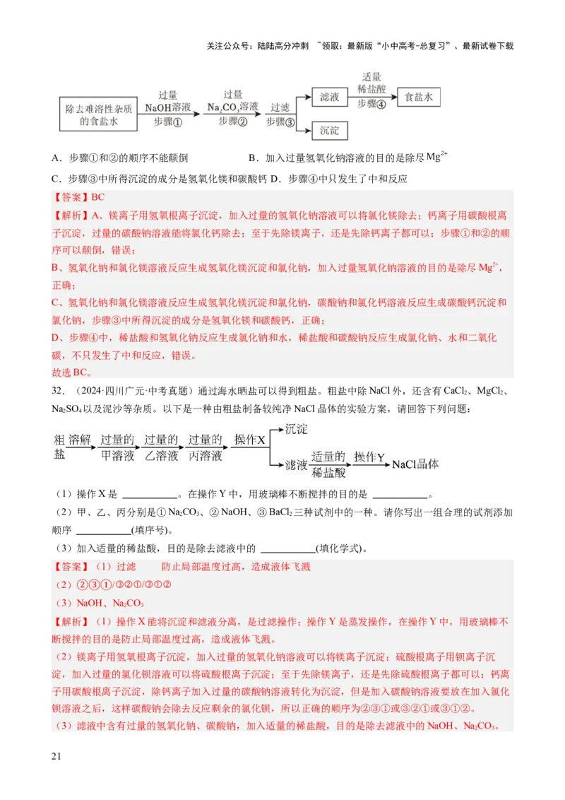 专题09盐和化肥（解析版）_02中考总复习（2026版更新中）_05-化学-中考总复习_2026年中考复习（更新中）_好题汇编三年（2023-2025）中考化学真题分类汇编（全国通用）