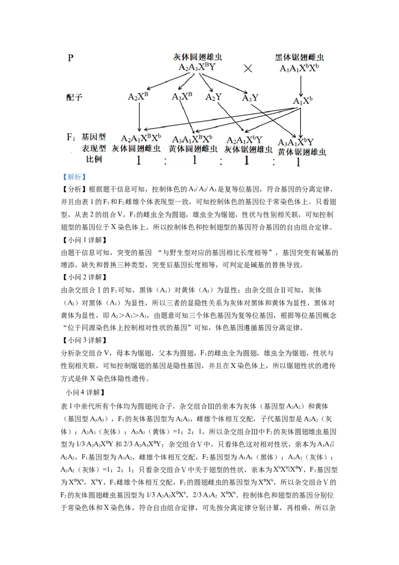 2022年6月新高考浙江生物高考真题（解析版）_全国卷+地方卷_6.生物_1.生物高考真题试卷_2022年高考-生物_2022年浙江卷-生物