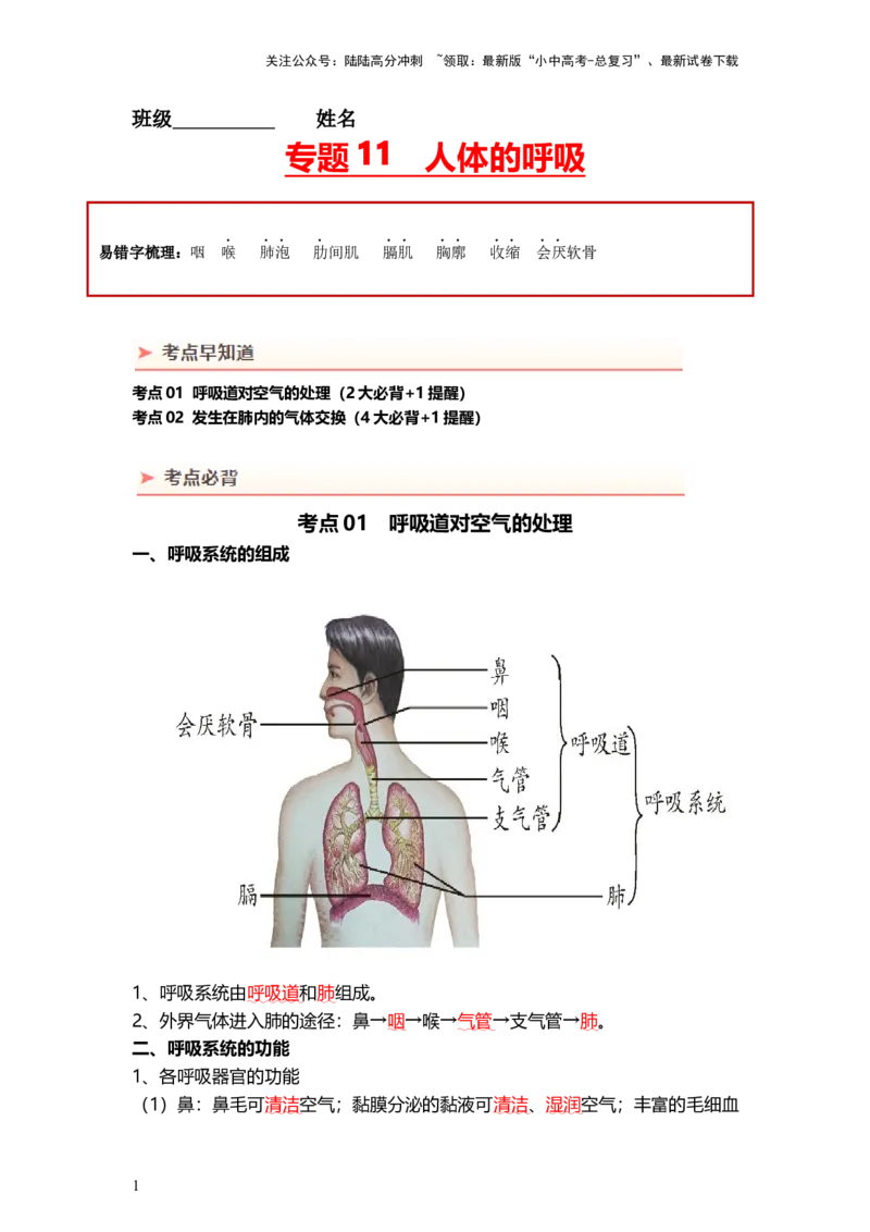 专题11人体的呼吸（背记帮）-备战2024年中考生物一轮复习考点帮（全国通用）_02中考总复习（2026版更新中）_08-生物-中考总复习_2024年中考复习资料_一轮复习_必背考点