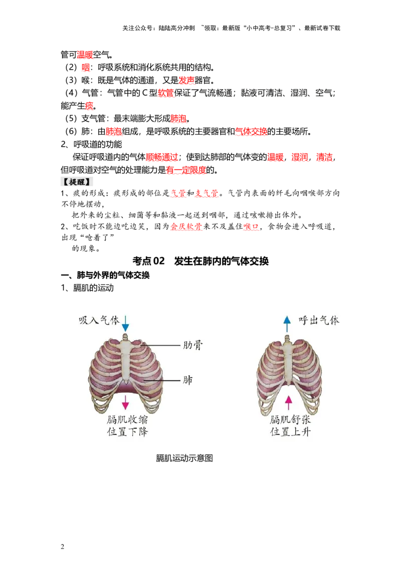 专题11人体的呼吸（背记帮）-备战2024年中考生物一轮复习考点帮（全国通用）_02中考总复习（2026版更新中）_08-生物-中考总复习_2024年中考复习资料_一轮复习_必背考点