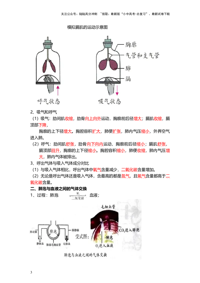 专题11人体的呼吸（背记帮）-备战2024年中考生物一轮复习考点帮（全国通用）_02中考总复习（2026版更新中）_08-生物-中考总复习_2024年中考复习资料_一轮复习_必背考点