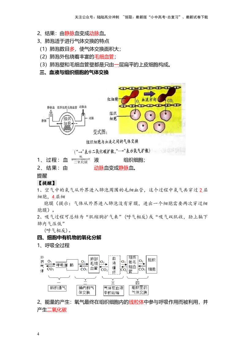 专题11人体的呼吸（背记帮）-备战2024年中考生物一轮复习考点帮（全国通用）_02中考总复习（2026版更新中）_08-生物-中考总复习_2024年中考复习资料_一轮复习_必背考点