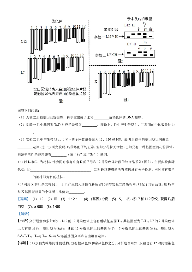 2021年河北高考生物试卷（新高考）（解析版）_全国卷+地方卷_6.生物_1.生物高考真题试卷_2021年高考-生物_2021年新高考河北生物_A4Word版