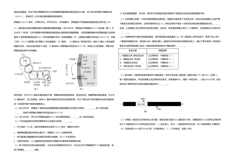 2021年北京市高考生物试卷（原卷版）_全国卷+地方卷_6.生物_1.生物高考真题试卷_2008-2020年_地方卷_北京高考生物08-21_A3word版