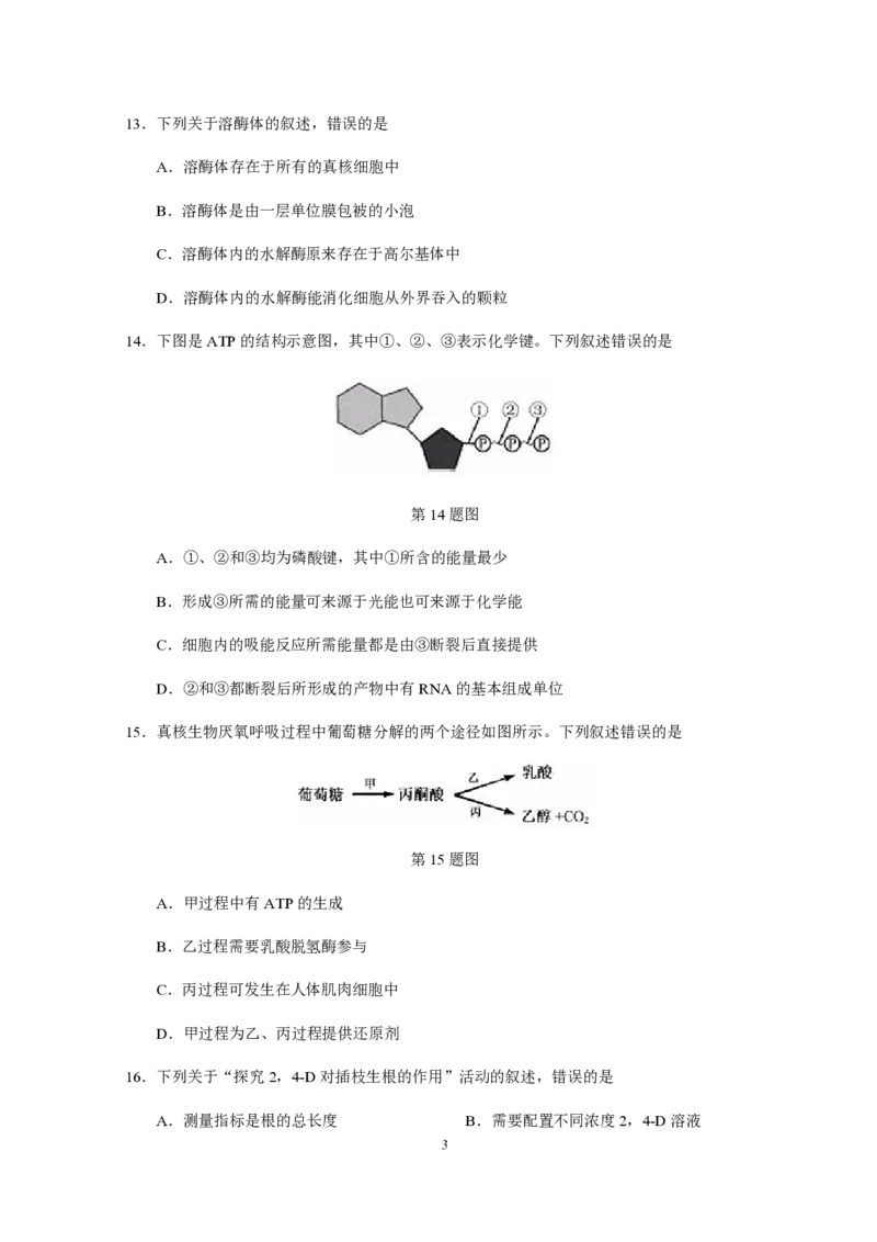 2019年浙江省高考生物1月（解析版）_全国卷+地方卷_6.生物_1.生物高考真题试卷_2008-2020年_地方卷_浙江高考生物08-21_A4word版_PDF版（赠送）