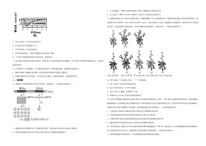 2021年湖南高考生物（新高考）（原卷版）_全国卷+地方卷_6.生物_1.生物高考真题试卷_2021年高考-生物_2021年新高考湖南生物_A3Word版