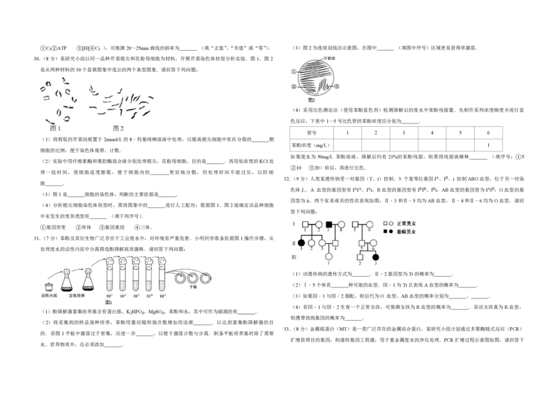 2017年江苏省高考生物试卷_全国卷+地方卷_6.生物_1.生物高考真题试卷_2008-2020年_地方卷_江苏高考生物07-20_A3word版_PDF版（赠送）