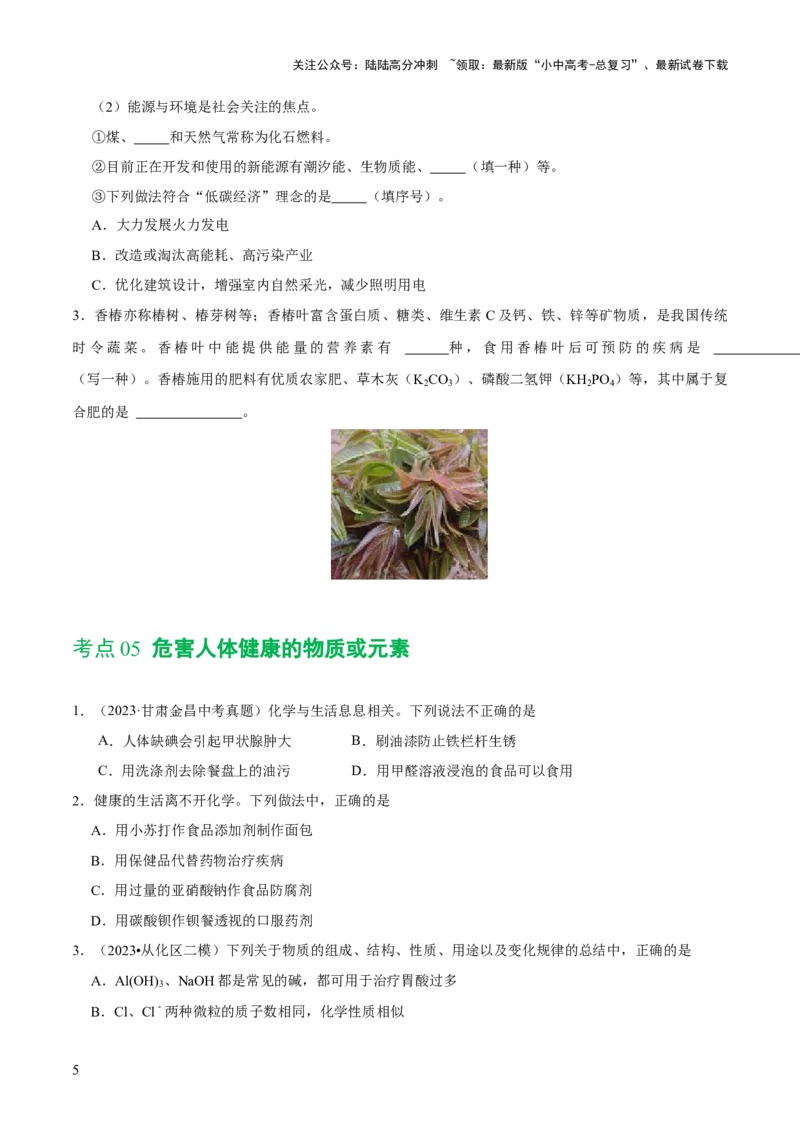 专题12化学与生活（练习）-2024年中考化学一轮复习讲练测（全国通用）（原卷版）_02中考总复习（2026版更新中）_05-化学-中考总复习_2024年中考复习资料_一轮复习资料