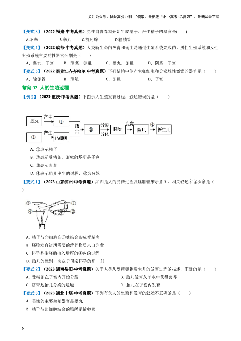 专题09人的由来（讲义）（原卷版）_02中考总复习（2026版更新中）_08-生物-中考总复习_2024年中考复习资料_一轮复习_❤2024年中考生物一轮复习讲练测（全国通用）_讲义