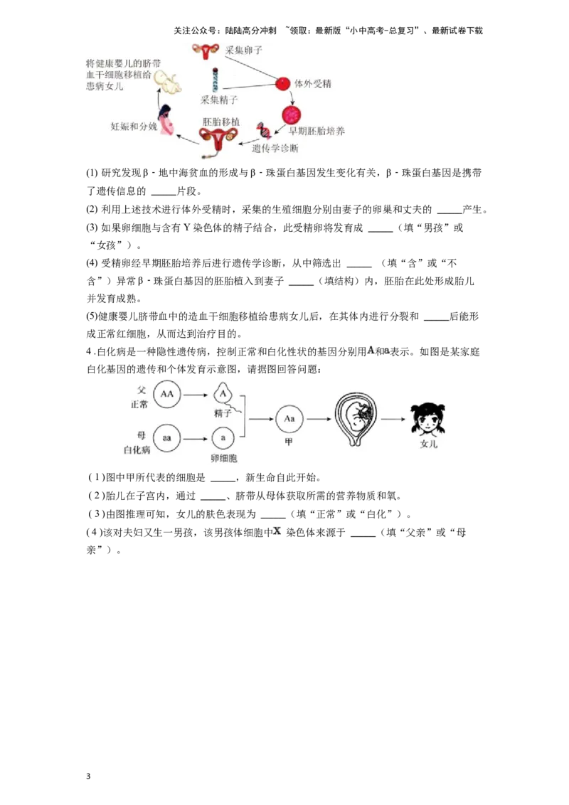 专题11人类起源和进化（原卷版）_02中考总复习（2026版更新中）_08-生物-中考总复习_2024年中考复习资料_一轮复习_配套练习