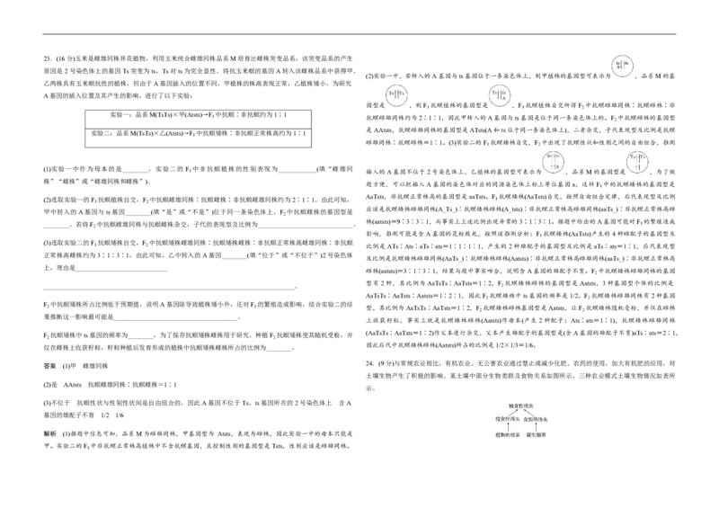 2020年高考真题生物（山东卷）（解析版）_全国卷+地方卷_6.生物_1.生物高考真题试卷_2008-2020年_地方卷_山东高考生物08-21_山东高考生物_A3版_pdf版