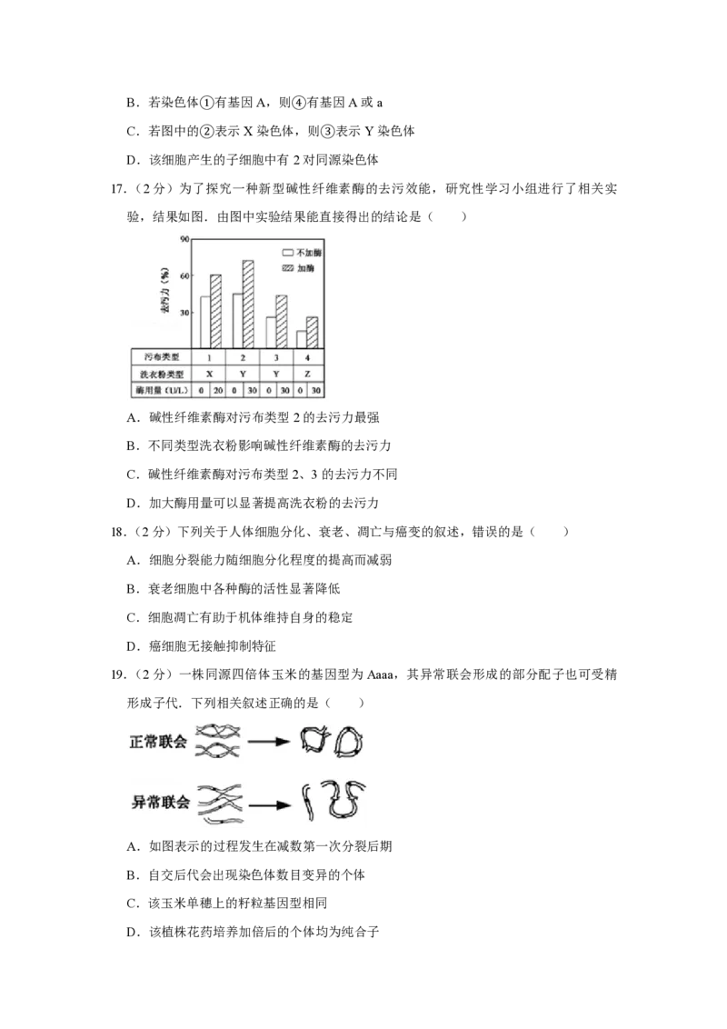 2017年江苏省高考生物试卷_全国卷+地方卷_6.生物_1.生物高考真题试卷_2008-2020年_地方卷_江苏高考生物07-20_A4word版_PDF版（赠送）