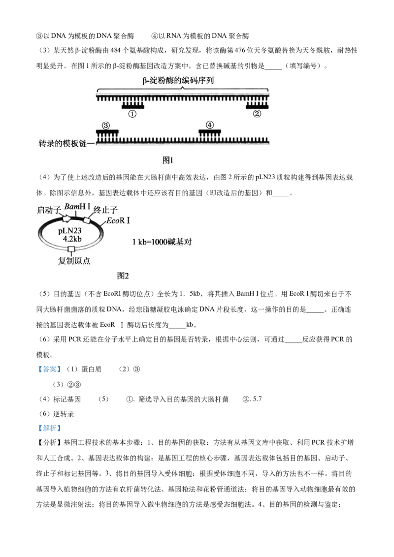 2023年新高考辽宁卷高考真题生物试卷（解析版）_全国卷+地方卷_6.生物_1.生物高考真题试卷_2023年高考-生物_2023年辽宁自主命题（生物）