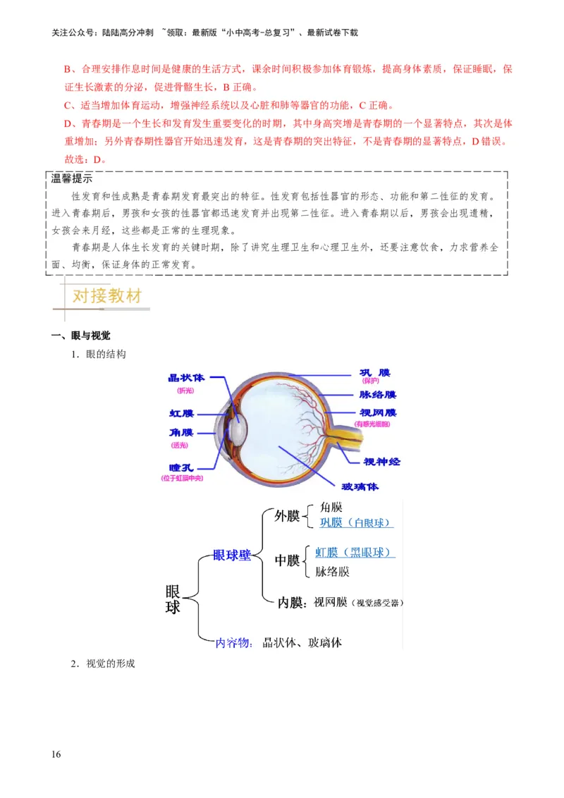 专题11人体生命活动的调节（解析版）_02中考总复习（2026版更新中）_08-生物-中考总复习_2024年中考复习资料_专项复习_备战2024年中考生物真题题源解密