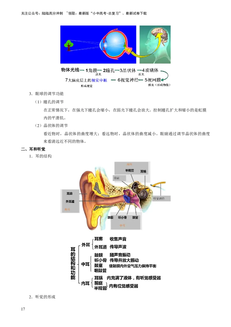 专题11人体生命活动的调节（解析版）_02中考总复习（2026版更新中）_08-生物-中考总复习_2024年中考复习资料_专项复习_备战2024年中考生物真题题源解密