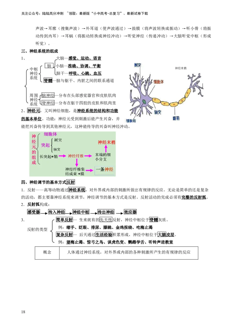 专题11人体生命活动的调节（解析版）_02中考总复习（2026版更新中）_08-生物-中考总复习_2024年中考复习资料_专项复习_备战2024年中考生物真题题源解密