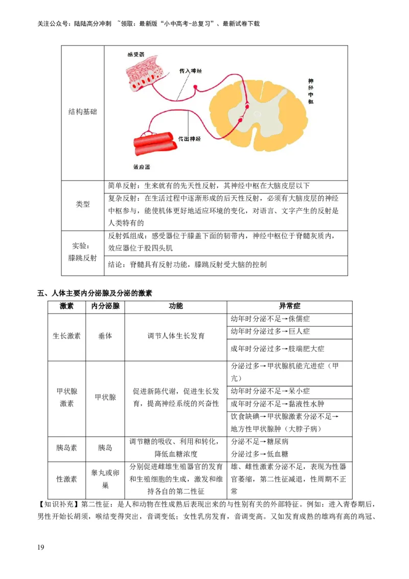 专题11人体生命活动的调节（解析版）_02中考总复习（2026版更新中）_08-生物-中考总复习_2024年中考复习资料_专项复习_备战2024年中考生物真题题源解密