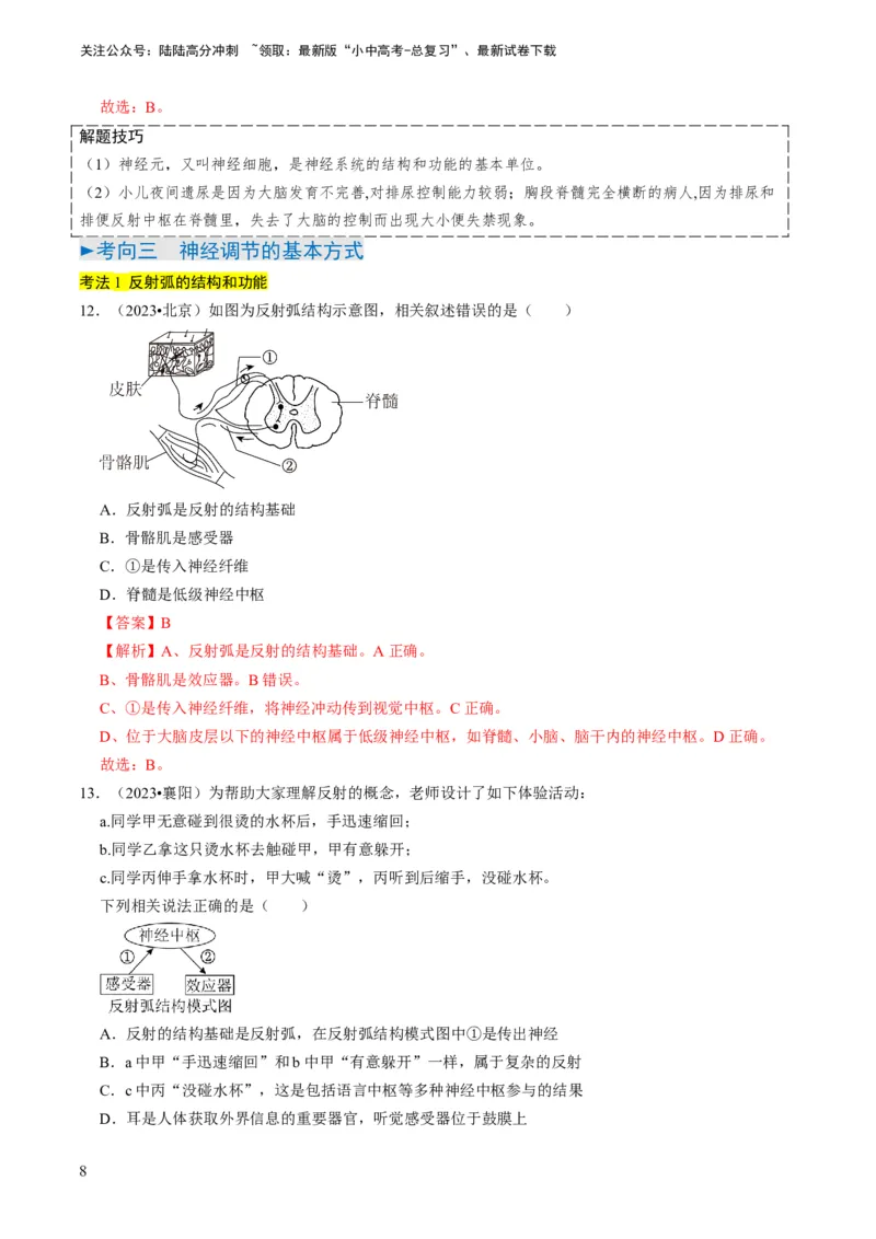 专题11人体生命活动的调节（解析版）_02中考总复习（2026版更新中）_08-生物-中考总复习_2024年中考复习资料_专项复习_备战2024年中考生物真题题源解密