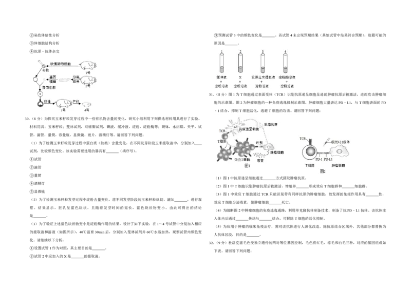 2019年江苏省高考生物试卷_全国卷+地方卷_6.生物_1.生物高考真题试卷_2008-2020年_地方卷_江苏高考生物07-20_A3word版_PDF版（赠送）