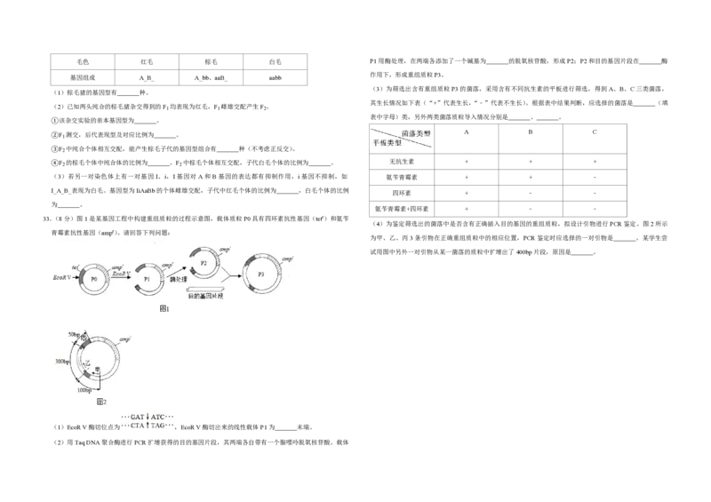 2019年江苏省高考生物试卷_全国卷+地方卷_6.生物_1.生物高考真题试卷_2008-2020年_地方卷_江苏高考生物07-20_A3word版_PDF版（赠送）