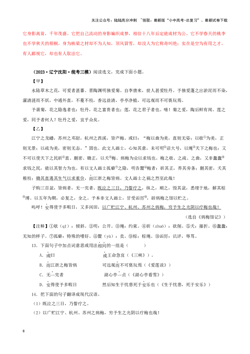 专题09爱莲说（解析版）－备战2024年中考语文之文言文对比阅读（全国通用）_02中考总复习（2026版更新中）_01-语文-中考总复习_2024年中考资料_专项复习资料_答案解析版