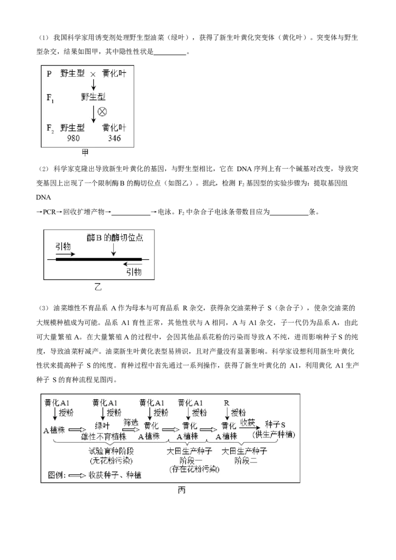 2023年高考生物真题（北京自主命题）（解析版）_全国卷+地方卷_6.生物_1.生物高考真题试卷_2023年高考-生物_2023年北京自主命题