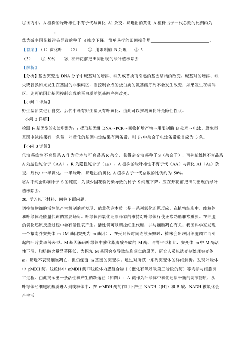 2023年高考生物真题（北京自主命题）（解析版）_全国卷+地方卷_6.生物_1.生物高考真题试卷_2023年高考-生物_2023年北京自主命题