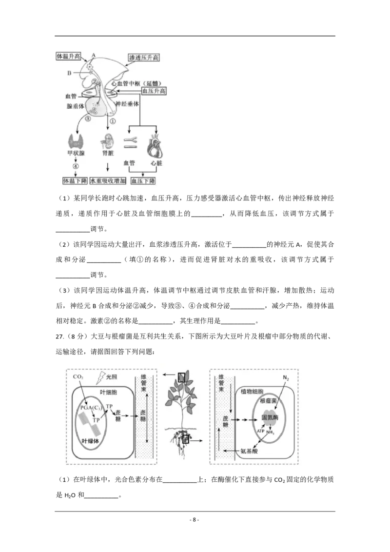 2020年江苏省高考生物试卷_全国卷+地方卷_6.生物_1.生物高考真题试卷_2008-2020年_地方卷_江苏高考生物07-20_A4word版_PDF版（赠送）