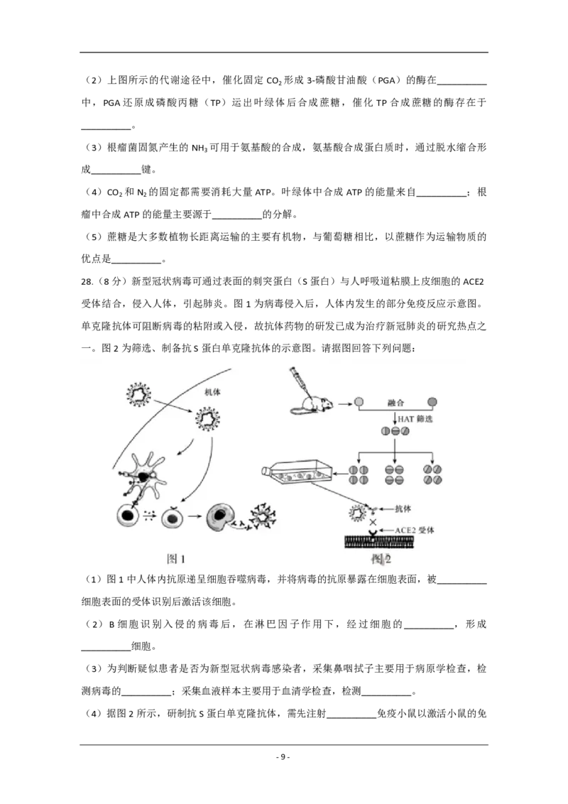 2020年江苏省高考生物试卷_全国卷+地方卷_6.生物_1.生物高考真题试卷_2008-2020年_地方卷_江苏高考生物07-20_A4word版_PDF版（赠送）