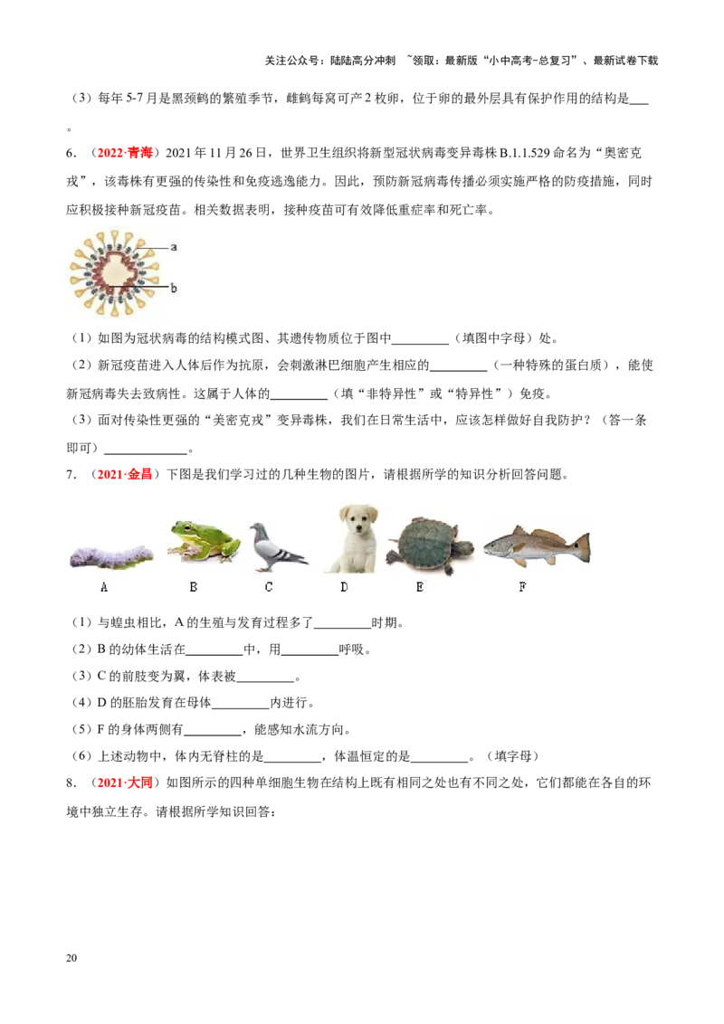 专题10&nbsp;植物、动物和微生物类群（原卷版）_02中考总复习（2026版更新中）_08-生物-中考总复习_2024年中考复习资料_专项复习_完三年（2021-2023）中考生物真题分项汇编（全国通用）