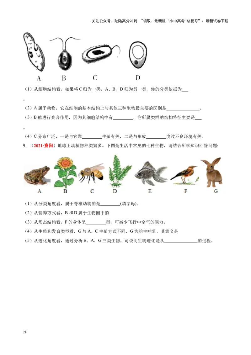 专题10&nbsp;植物、动物和微生物类群（原卷版）_02中考总复习（2026版更新中）_08-生物-中考总复习_2024年中考复习资料_专项复习_完三年（2021-2023）中考生物真题分项汇编（全国通用）