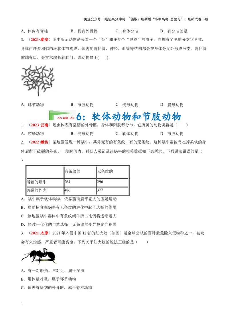 专题10&nbsp;植物、动物和微生物类群（原卷版）_02中考总复习（2026版更新中）_08-生物-中考总复习_2024年中考复习资料_专项复习_完三年（2021-2023）中考生物真题分项汇编（全国通用）