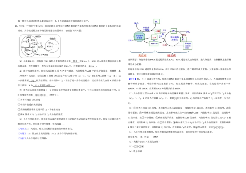 2019年江苏省高考生物试卷解析版_全国卷+地方卷_6.生物_1.生物高考真题试卷_2008-2020年_地方卷_江苏高考生物07-20_A3word版_PDF版（赠送）