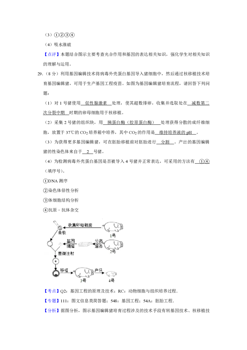 2019年江苏省高考生物试卷解析版_全国卷+地方卷_6.生物_1.生物高考真题试卷_2008-2020年_地方卷_江苏高考生物07-20_A4word版_PDF版（赠送）