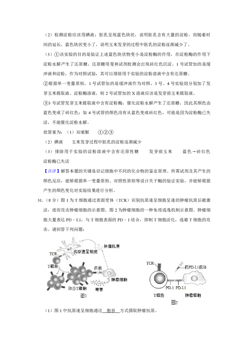 2019年江苏省高考生物试卷解析版_全国卷+地方卷_6.生物_1.生物高考真题试卷_2008-2020年_地方卷_江苏高考生物07-20_A4word版_PDF版（赠送）