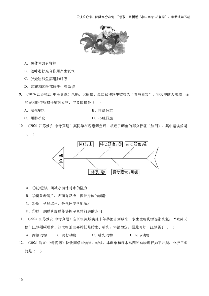 专题09各种各样的生物（全国通用）（原卷版）_02中考总复习（2026版更新中）_08-生物-中考总复习_2026年中考复习（更新中）