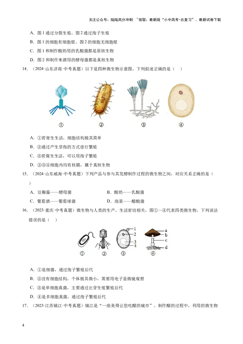 专题09各种各样的生物（全国通用）（原卷版）_02中考总复习（2026版更新中）_08-生物-中考总复习_2026年中考复习（更新中）