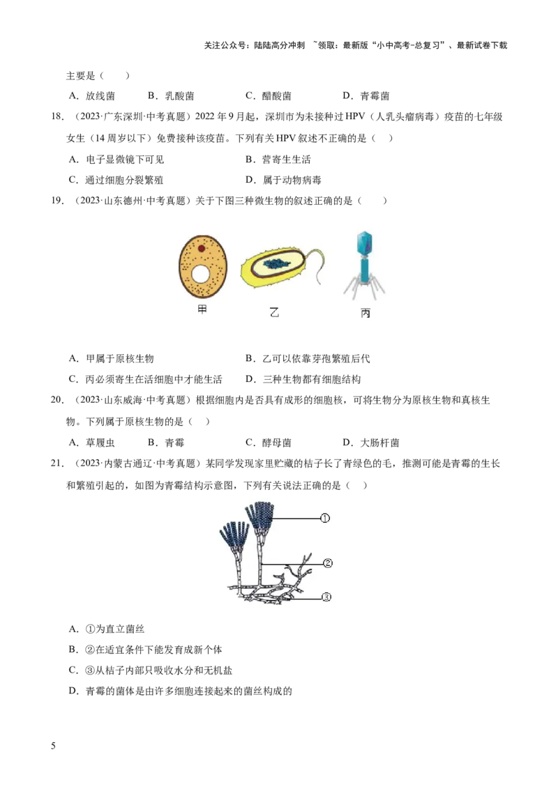 专题09各种各样的生物（全国通用）（原卷版）_02中考总复习（2026版更新中）_08-生物-中考总复习_2026年中考复习（更新中）