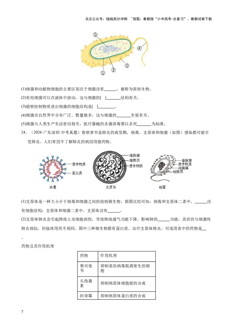 专题09各种各样的生物（全国通用）（原卷版）_02中考总复习（2026版更新中）_08-生物-中考总复习_2026年中考复习（更新中）