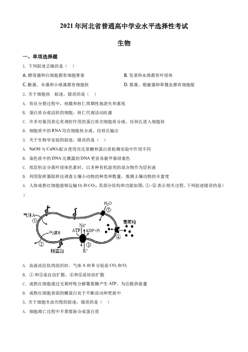 2021年河北高考生物试卷（新高考）（原卷版）_全国卷+地方卷_6.生物_1.生物高考真题试卷_2021年高考-生物_2021年新高考河北生物_A4Word版