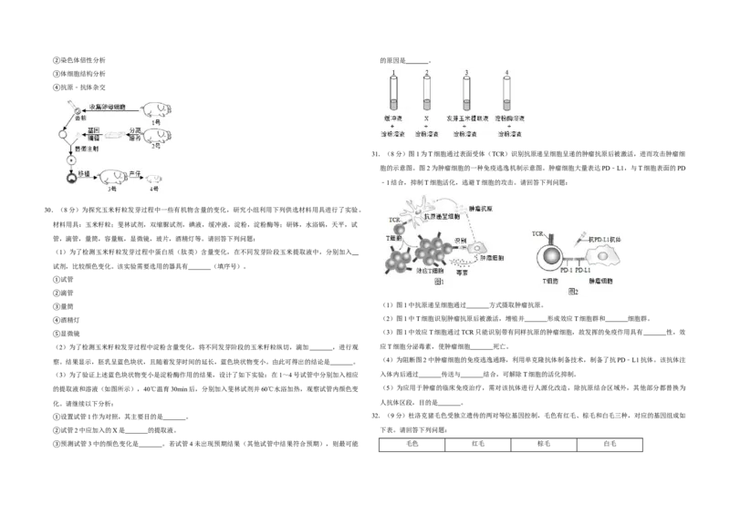 2019年江苏省高考生物试卷_全国卷+地方卷_6.生物_1.生物高考真题试卷_2008-2020年_地方卷_江苏高考生物07-20_A3word版