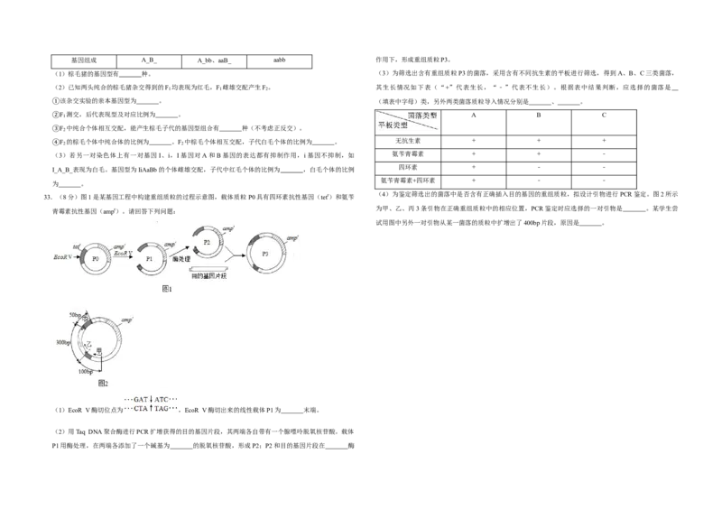 2019年江苏省高考生物试卷_全国卷+地方卷_6.生物_1.生物高考真题试卷_2008-2020年_地方卷_江苏高考生物07-20_A3word版