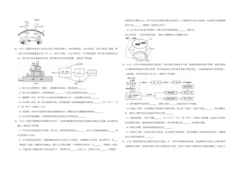 2018年江苏省高考生物试卷_全国卷+地方卷_6.生物_1.生物高考真题试卷_2008-2020年_地方卷_江苏高考生物07-20_A3word版_PDF版（赠送）