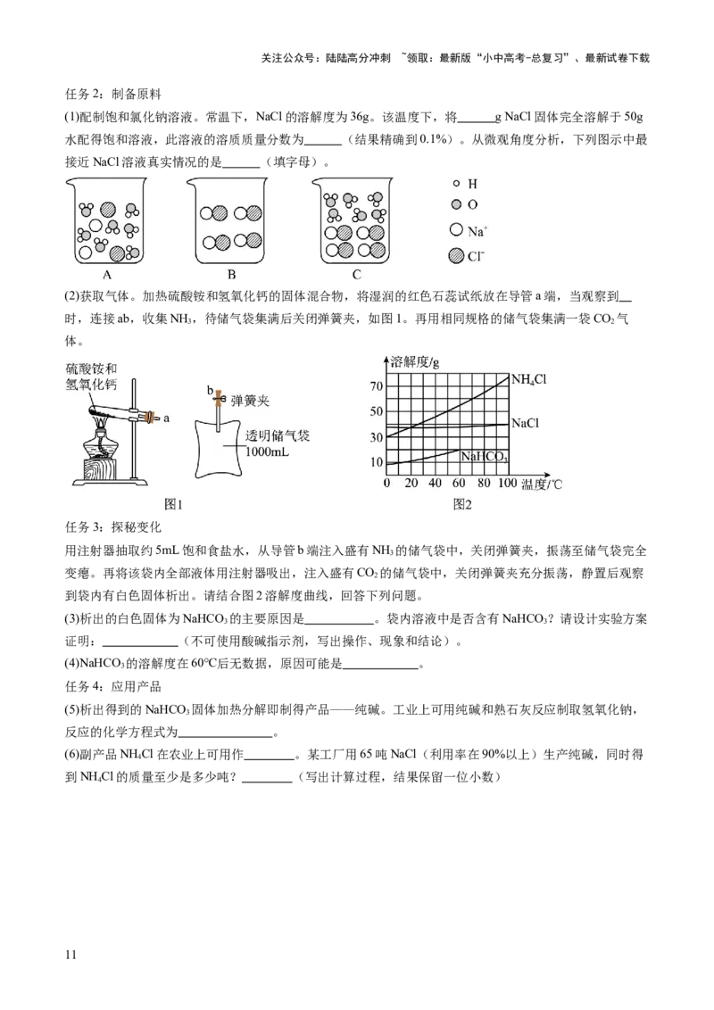 专题10常见的盐（练习）（原卷版）_02中考总复习（2026版更新中）_05-化学-中考总复习_2025年中考复习资料_2025中考化学一轮复习讲义+课件_练习_专题10常见的盐（练习）